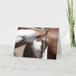 ピントウエスタンホース カード