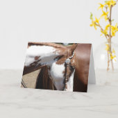 ピントウエスタンホース カード (黄色い花)