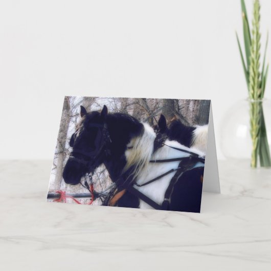 ピントウマ荷車を引くーズ誕生日 カード (正面)