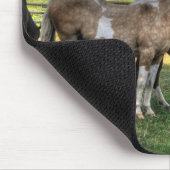 ピントキスをする・スタリオン&ソレルマーレウマ科の写真 マウスパッド (コーナー)