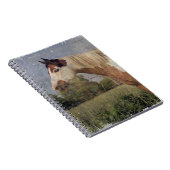 ピントグランジ馬 ノートブック (右側)