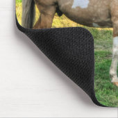 ピントスおもしろいタリオン&ソレルマーレホースフレンズ2 マウスパッド (コーナー)