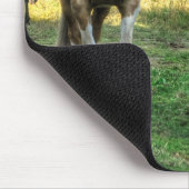 ピントスおもしろいタリオン&ソレルマーレホースフレンズ マウスパッド (コーナー)