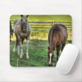 ピントスおもしろいタリオン&ソレルマーレホースフレンズ マウスパッド (マウス)