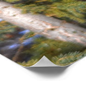 ピントス絵を描タリオンと常緑樹 ポスター (角)