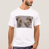 ピントス長袖t tシャツ (正面)