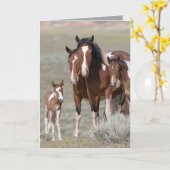 ピントファミリーワイルドホースグリーティングカード カード (黄色い花)