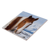 ピントホース山モランインウィンター タイル (側面)