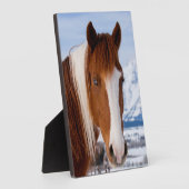 ピントホース山モランインウィンター フォトプラーク (側面)