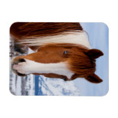 ピントホース山モランインウィンター マグネット (横)