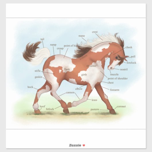 ピントポニー馬の教育ウマ科の解剖図 シール (シート)