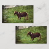 ピントポニー 名刺 (正面/裏面)