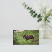 ピントポニー 名刺 (スタンド正面)