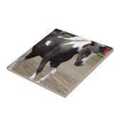 ピントミニホース タイル (側面)