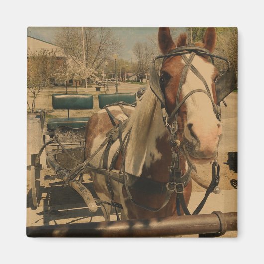 ピント乳母車馬 マグネット (正面)