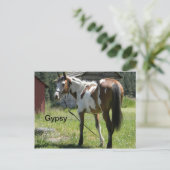 ピント汚い馬のポストカード ポストカード (スタンド正面)