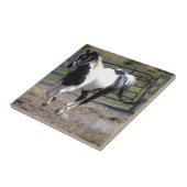 ピント絵を描ウマ タイル (側面)