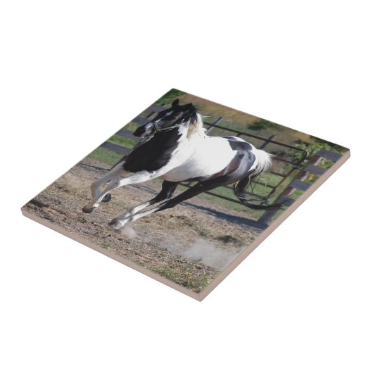 ピント絵を描ウマ タイル (側面)