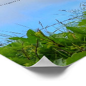 ピント絵を描&クロウズランチホースと詩の写真 ポスター (角)