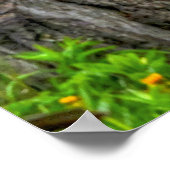 ピント絵を描、フェンチェリン&クラウドランチホースの写真 ポスター (角)