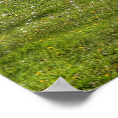 ピント絵を描&ヘルドランチホースのウマ科の写真 ポスター (角)