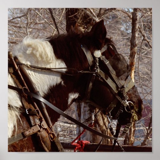 ピント荷車を引くウマ ポスター (正面)