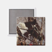 ピント荷車を引くウマ マグネット (正面/裏面)