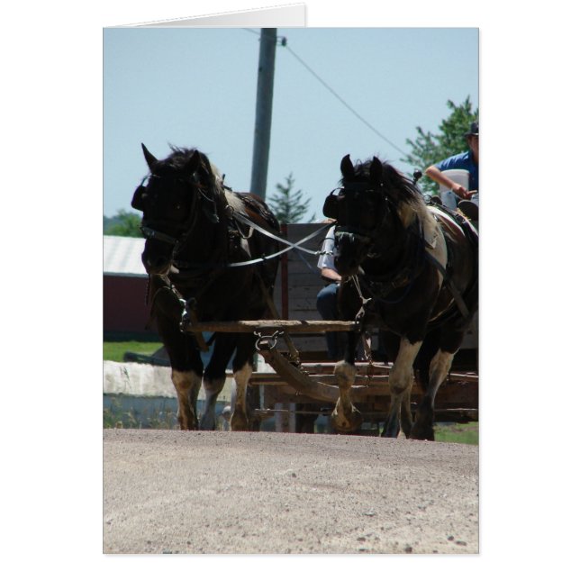 ピント荷車を引く対 (正面)