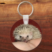 ピント顔ハリネズミ キーホルダー (正面)