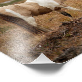 ピント馬 フォトプリント            (角)