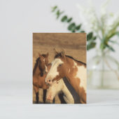 ピント・イン・ヘルド ポストカード (スタンド正面)