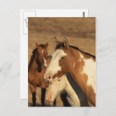 ピント・イン・ヘルド ポストカード (正面/裏面)