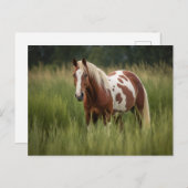 ピント・ホース ポストカード (正面/裏面)