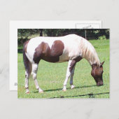 ピント ポストカード (正面/裏面)