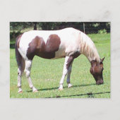 ピント ポストカード (正面)