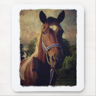 ピント マウスパッド