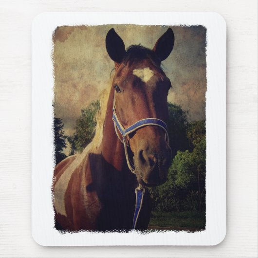 ピント マウスパッド (正面)