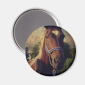 ピント マグネット (正面/裏面)