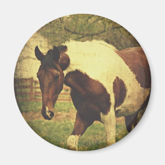 ピント マグネット (正面)