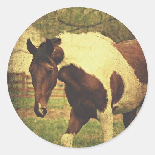 ピント ラウンドシール (正面)