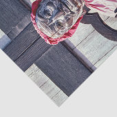 ピンドラ・バラヴァジャ仏像 – 奈良,日本 薄葉紙 (詳細)