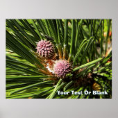 ピンフロアー ポスター (正面)