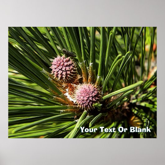 ピンフロアー ポスター (正面)