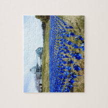 ピンホイールガーデンLGBGリッチモンドVA