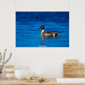 ピン・ダック ポスター (キッチン)