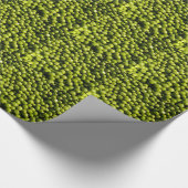 ピーア ラッピングペーパー (角)