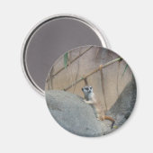 ピーカトミールカト マグネット (正面/裏面)