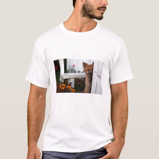 ピーカブーT Tシャツ (正面)