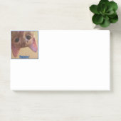 ピーカボー！アーチーに見える！ ポストイット (オフィス)