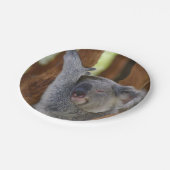 ピーカーブ式コアラのプレート ペーパープレート (アングル)